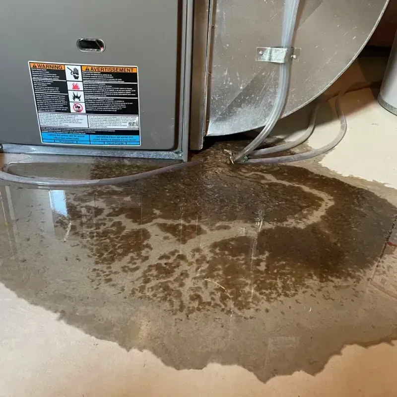 Appliance Leak Cleanup in Palacios, TX